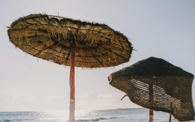 Antalya Saz Hasır Şemsiye