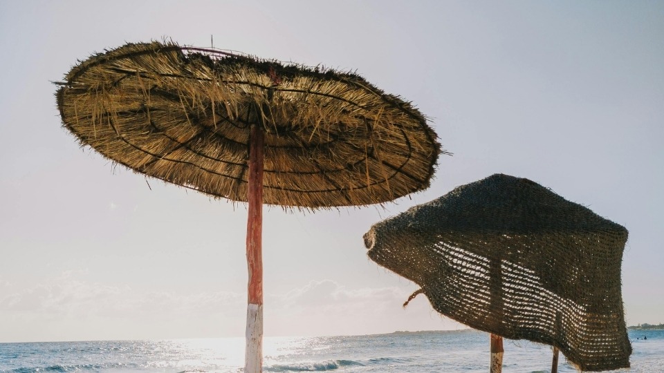Antalya Saz Hasır Şemsiye, Antalya Saz Hasır Şemsiye Dekorasyon, Antalya Saz Hasır Şemsiye Firmaları, Antalya Saz Hasır Şemsiye Fiyatları