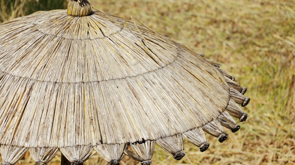 İzmir Saz Hasır Şemsiye, İzmir Saz Hasır Şemsiye Dekorasyon, İzmir Saz Hasır Şemsiye Firmaları, İzmir Saz Hasır Şemsiye Fiyatları